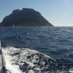 Verso l'isola di Tavolara
